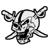DMV-Raiders-Logo