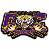 MDFL-Team-tigers